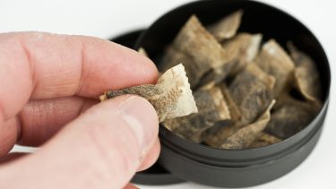 Snus tobak skråtobak nikotin kræftfremkaldende kræft bugspytkirtelkræft studie advarer sundhedsmyndigheder Norge Folkehelseinstituttet nikotinforbrug mundhule spiserør
