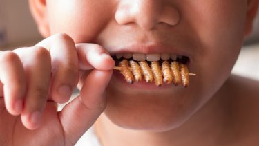 insekter mad spise godt for miljøet co2