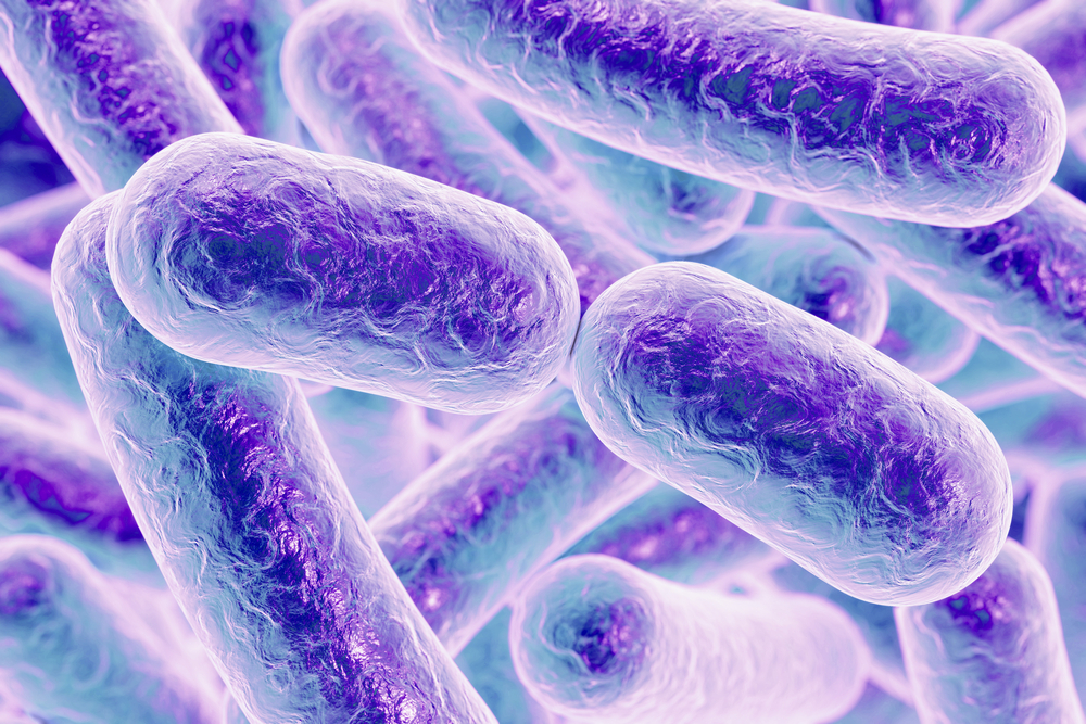 bakterier, immunforsvar, resistens, antibiotika,