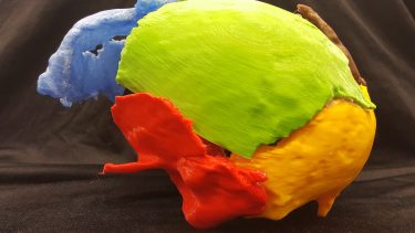 En 3D-printet rekonstruktion af Gorm den Gamles lramoe