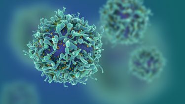 Tumor cancer kræft atlas overlevelse celle gener genetik genom genudtryk