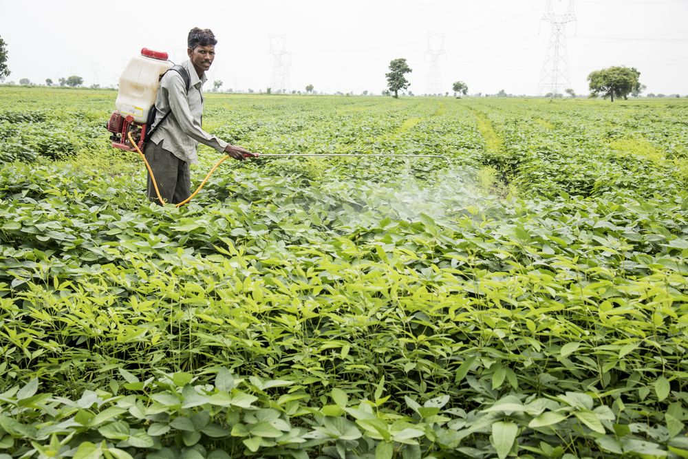 Pesticider, sprøjtemidler, selvmord, Sri Lanka, Indien, Flemming Conradsen