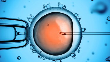 befrugtet æg genetik forskning gensplejsning crispr/cas9