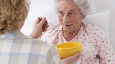 tallerken mad ris spise alzheimer appetit farve