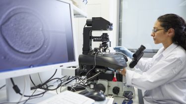 CRISPR-cas9 menneskeembryon redigere gener Kathy Niakan The Francis Crick Institute