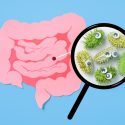 Sjov grafisk illustration af lyserødt tarmsystem med forstørrelsesglas, der viser grønne, fluffy tarmbakterier med små plirrende øjne