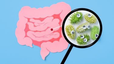 Sjov grafisk illustration af lyserødt tarmsystem med forstørrelsesglas, der viser grønne, fluffy tarmbakterier med små plirrende øjne