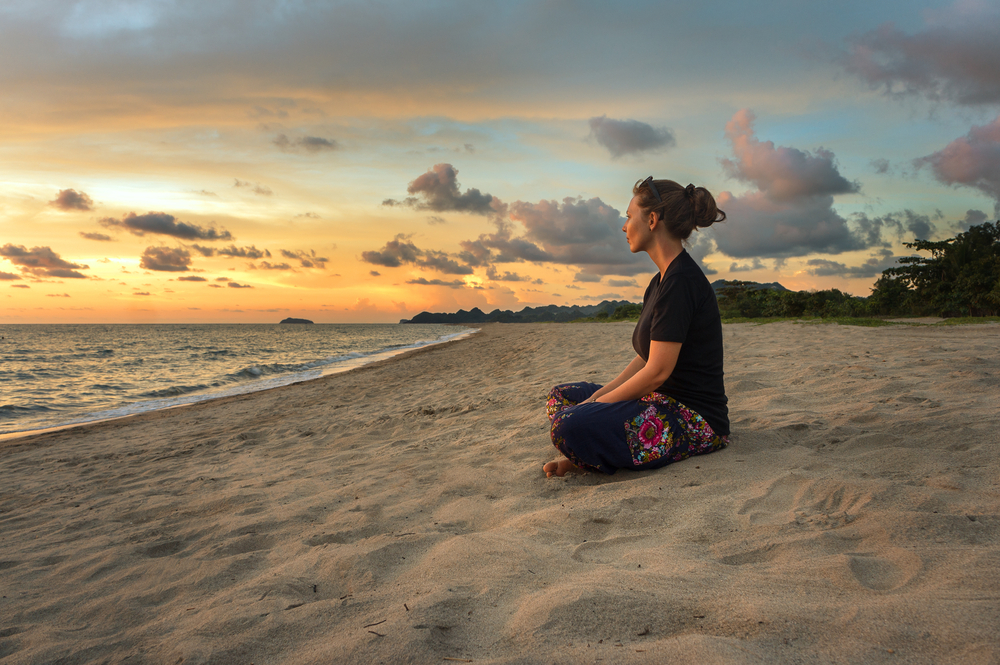 mindfulness meditation mindful cortex stress social adfærd hjernen