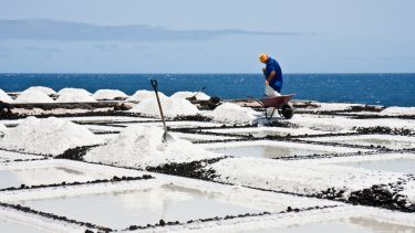 Hvorfor er havet salt