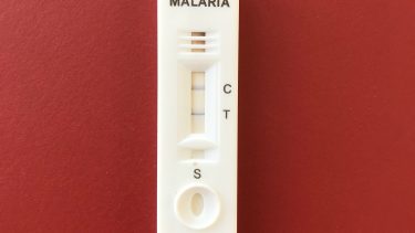 malaria supermalaria resistens bekæmpe diagnosticere dansk forskning sidsel nag