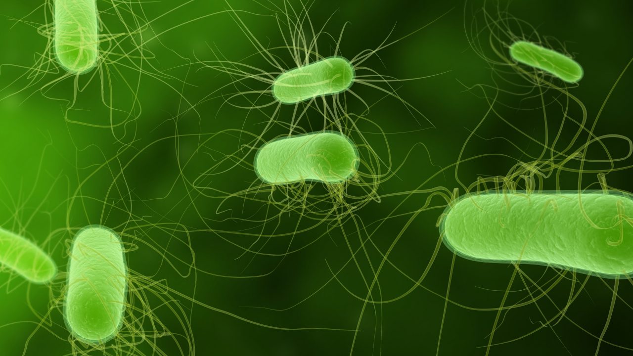 kunstigt liv syntetisk biologi