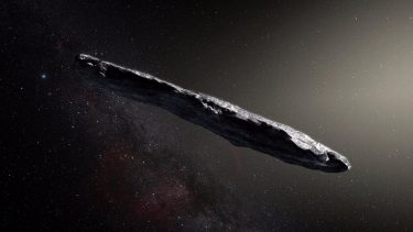 For nyligt opdagede astronomer det første interstellare objekt, man har observeret. Men astronomerne er langt fra enige om, hvordan objeket ser ud, og hvor stort det er. Her er tegnet et bud. (Kunstners fortolkning: ESO)