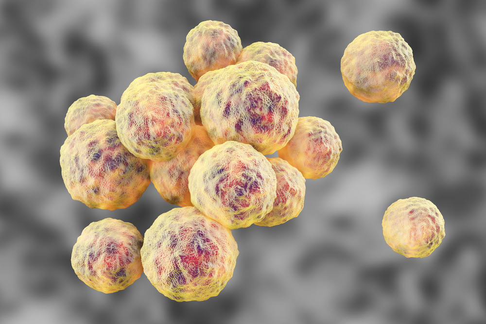 mrsa, multiresistens