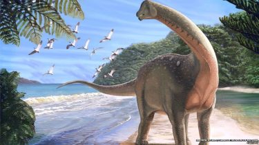 Sådan kan mansourasaurus have set ud, da den gik rundt på en strand, som nu er en ørken i det vestlige Egypten. (Foto: ANDREW MCAFEE, CARNEGIE MUSEUM OF NATURAL HISTORY)