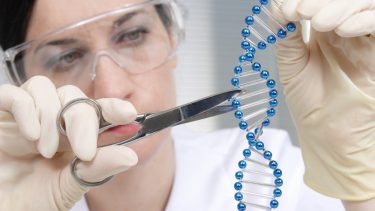 crispr cas9 aktier investorer fald immunforsvaret