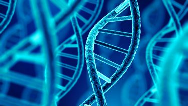 DNA bioteknologi