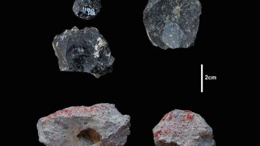 evolution Afrika menneske hominin arter revolution teknisk kulturel sprog kognitive styringsformer okker bsidian langdistancetransport fossiler Homo Sapiens arkæologi udgravninger hule fundlokationer Kenya