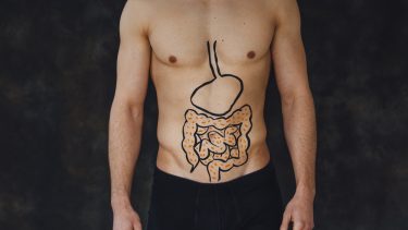 tarm tarmflora mikrobiota mikrober bakterier fordøjelse kost antisoffer immunsystem sundhed helbred sygdom sygdomsudvikling mangfoldig fedme diabetes betændelsestilstand kost systembiologi genom protemisk metabolomics medicin pesonaliseret målrettet