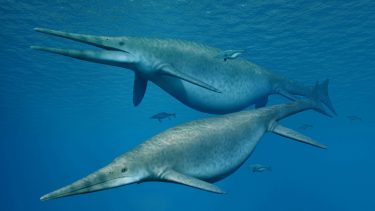 Hval havdyr ichtyosaur