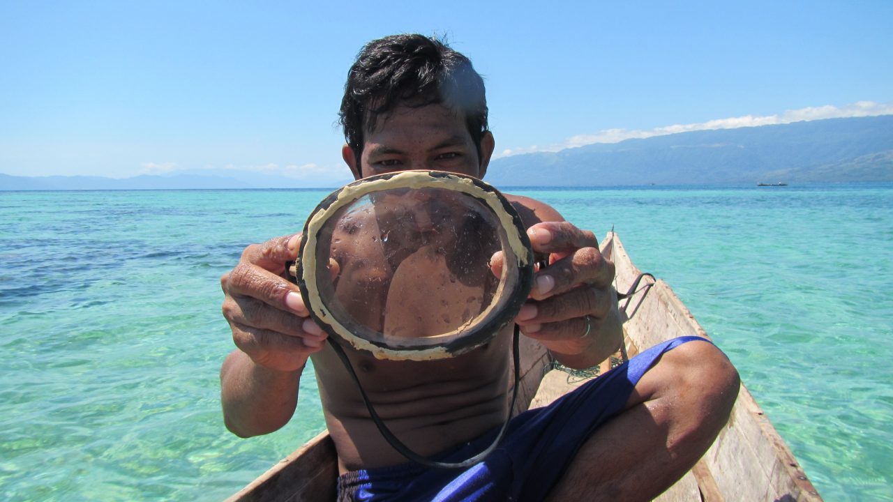 Evolution i moderne mennesker dykkere bajau indonesien forstørret milt genvariant