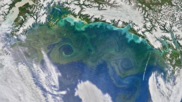 phytoplankton billeder fra rummmet nasa havets græse satellit