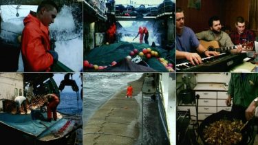 Natarbejde, skifteholdsarbejde, stress, tarmbakterier, Færøerne, trawlerfiskere