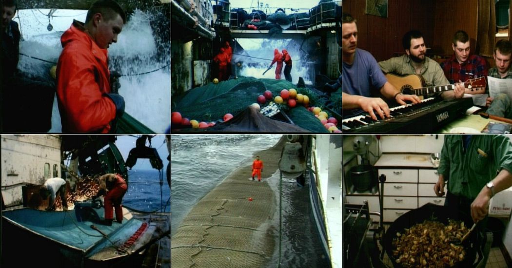 Natarbejde, skifteholdsarbejde, stress, tarmbakterier, Færøerne, trawlerfiskere
