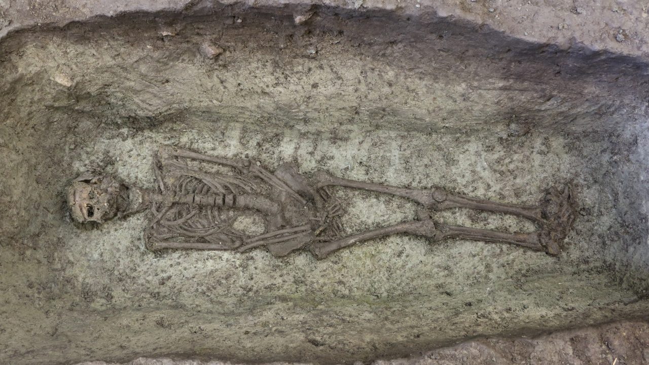 skeletter rådhuspladsen arkæologi