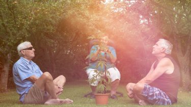 Medicinsk cannabis, hjerneskanning, hjerner, forsøg, studie, forskning, depression, smerte, angst