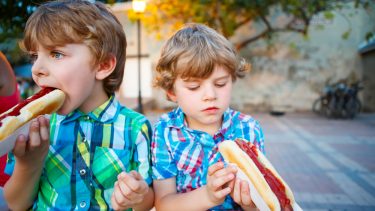 mad fødevarer ultraforbehandlet bearbejdet fast food sundhed effekt tarm mikrobiota tarmflora metabolisk ernæringsvidenskab fedme overvægt økosystem maltodextrin modificeret stivelse næringsstoffer tilsætningsstoffer næring kalorier hydrolyseret protein