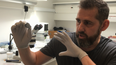 En meteorit, som ejes af Københavns Universitet, har slået rekord som det hidtil ældste materiale, vi kender fra Mars. Ifølge professor Martin Bizzarro (billedet) er den også 100 millioner år ældre end det ældste materiale, vi har fundet fra Jorden. (Foto