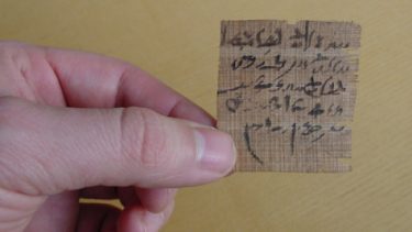 papyrus carlsberg orakel spørgsmål samling egyptologi