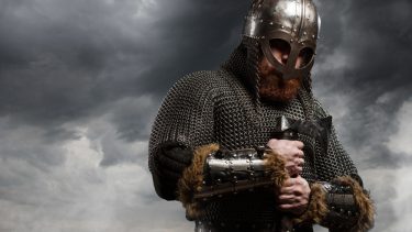 vikinger, vikingetiden, vitaminer, skørbug