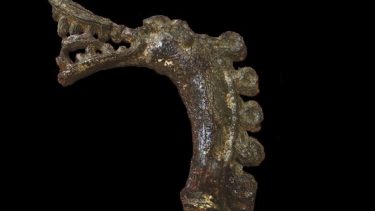 vikingetiden Sverige dragehoved fabeldyr Midgårdsormen guldsmede Birka støbeform stil drage ulv smykke kunst håndværk søuhyre