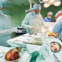organ_donor_organdonor_transplantation_tag_stilling