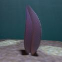 Stromatoveris psygmoglena evolution dyreriget organismer bladformede encellede dyr alger funga Prækambrium Kambrium kambriske eksplosion diversitet  Chengjiang skeletvæv bløddyr sediment fossiler Ediacara-faunaen anatomi