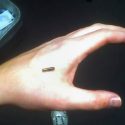 Microchip chipmærket Sverige biohacking wetware hackers Transhumanister miljø digital teknologi tiltro tillid biomedicin frugal science citizen science teknologisk infrastruktur