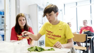 Masseeksperimentet 2018 mælkesyrebakterier novozymes astra elever