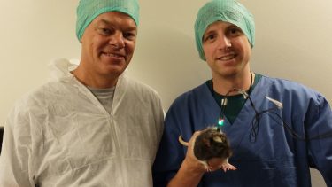 Moser forsøg tid oplevelse fornemmelse stedssans lateral entorhinal cortex rækkefølge episodisk metrisk klokke timeglas ensformigt monotont celle affyrer signal hjerne aktivitet rotter bevæge hastighed erindring hukommelse