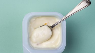 tarm tarmflora probiotika mikrobiota mikrober bakterier kost genom protemisk metabolomics medicin pesonaliseret målrettet