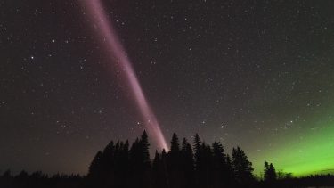 Steve nordlys himmelfænomen lysfænomen  boreallys Aurora nordlysjæger satellit fotos astrofysiker rumforsker Canada partikler højde skyglow atomer gas ionosfæren optisk POES-17 observatør