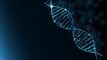 statistik diagnose sundhed big data