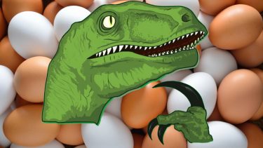 Brune farvede æg stammer fra dinosaurerne