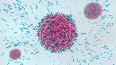 Nobelprisen medicin fysiologi nobel pris