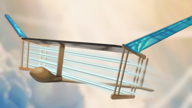 FLYFLY