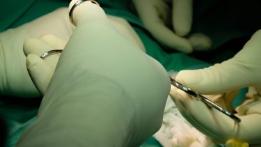 Omskæring penis afstemning lov folketinget