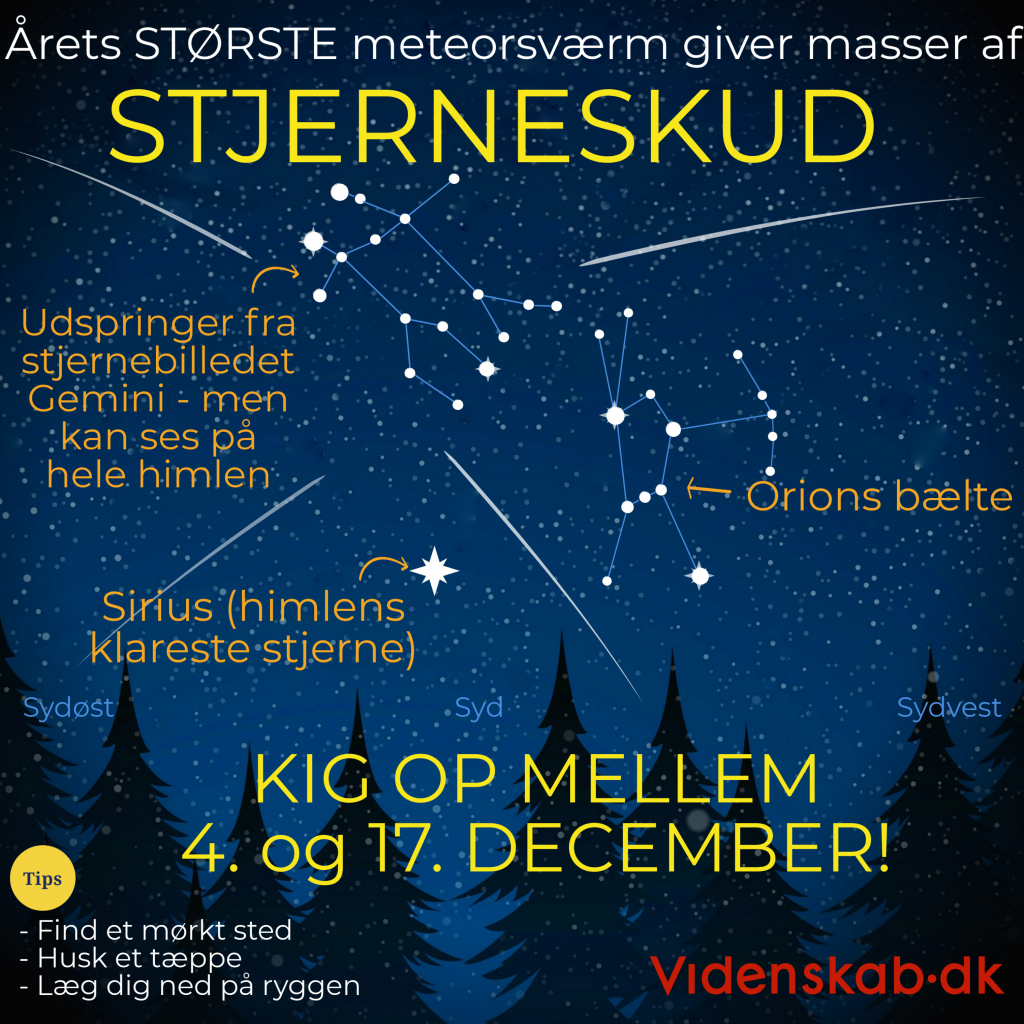 Geminiderne meteorsværm stjerneskud december infografik