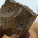 arkæologi Østafrika menneskeheden udgravninger stedredskaber hominin-forfædre oldowan redskabskultur palæomagnetisme elektron-spin-resonans-spektroskopi (ESR) datering homo erectus
