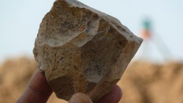 arkæologi Østafrika menneskeheden udgravninger stedredskaber hominin-forfædre oldowan redskabskultur palæomagnetisme elektron-spin-resonans-spektroskopi (ESR) datering homo erectus