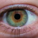 pupiller alkoholisme misbrug forsøg eyetracking